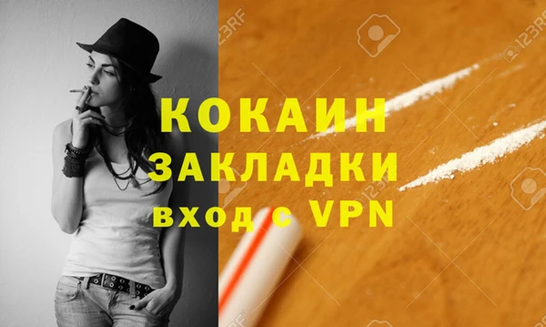 гашик Белокуриха