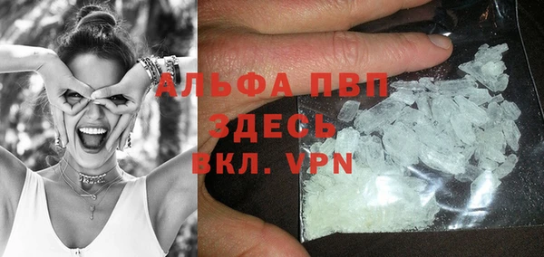 гашик Белокуриха