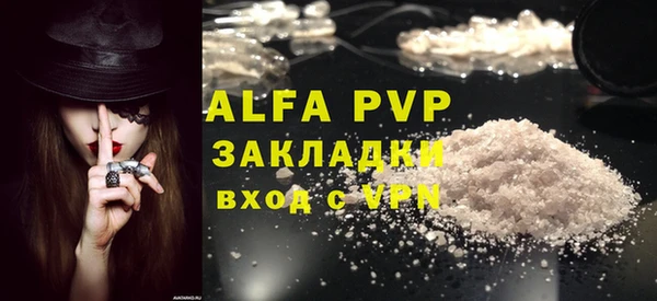 гашик Белокуриха