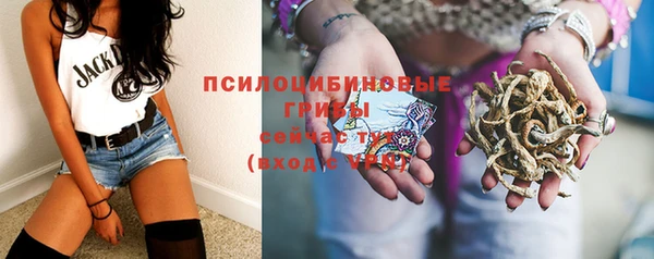 гашик Белокуриха